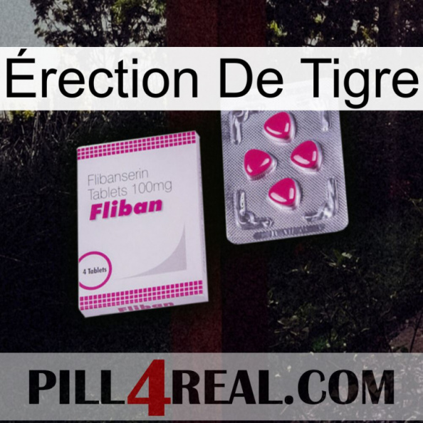 Érection De Tigre 32.jpg